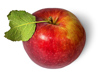 Red ripe apple with green leaf top view