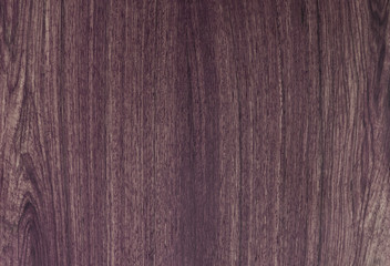 pattern detail of teak wood texture