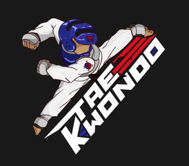 Taekwondo. Martial art