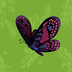 Monarch Butterfly on green background. Vector cartoon colorful illustration