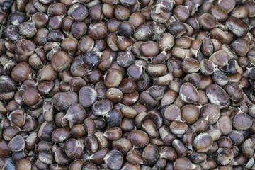 chestnuts as a background