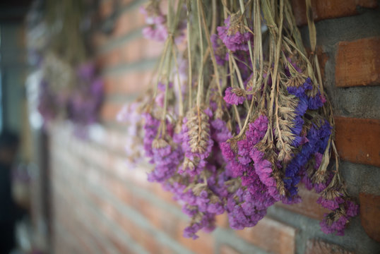 abstract image of bouquet of dried flowers hanging on rope against block background at evening light