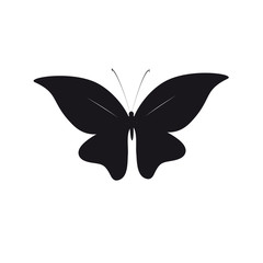 beautiful butterflies, isolated on a white