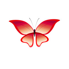 beautiful butterflies, isolated on a white