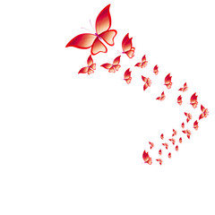 beautiful butterflies, isolated on a white