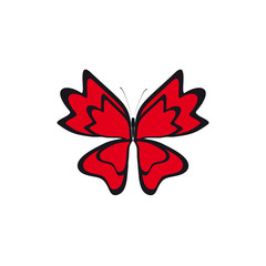 beautiful butterflies, isolated on a white