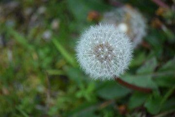 Netul Landing, Warrenton, OR