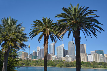 Sydney skyline as view from the Royal Botanic Gardens Sydney New