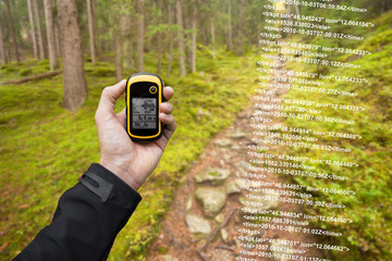 A trekker is finding the right position in the forest via gps in a cloudy autumnal day