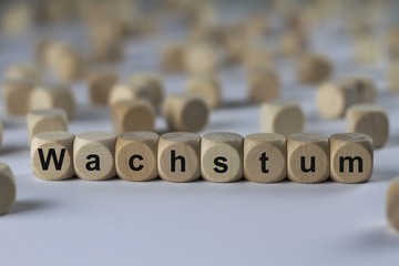 Wachstum - Holzwürfel mit Buchstaben