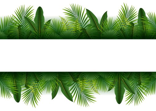 Blank sign with Tropical forest background