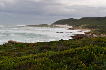 Sud Africa, 20/09/2009: la vegetazione e la spiaggia del Capo di Buona Speranza, il promontorio della Penisola del Capo raggiunto nel 1488 dall'esploratore portoghese Bartolomeo Dias