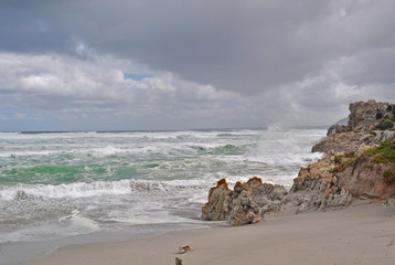 Fototapeta na wymiar Sud Africa, 21/09/2009: l'Oceano in tempesta sulla spiaggia di Hermanus, la città sulla costa meridionale del Western Cape famosa per le balene 