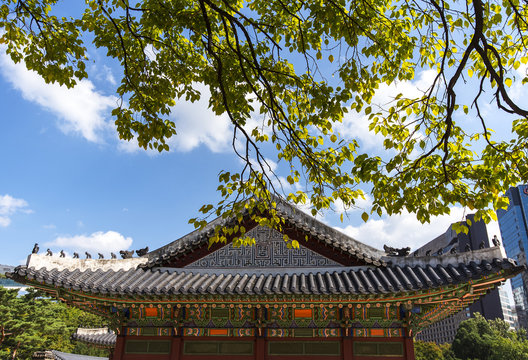 Summer landscape Changdeokgung Palace in Seoul - South Korea
