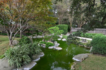 Fototapeta na wymiar A Japanese garden at a Botanical garden in Texas. 