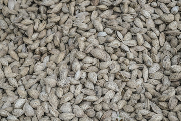 Shelled almonds as a background