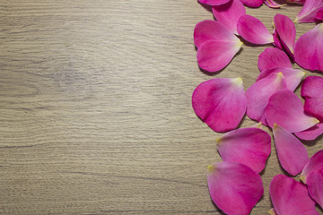 petals of roses on the wooden table