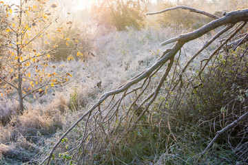 Der Herbst verschwindet und der Winter kommt