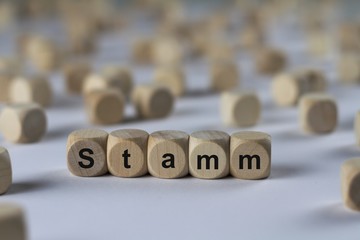 Stamm - Holzwürfel mit Buchstaben