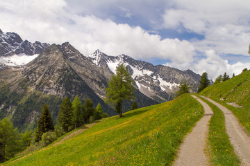 Trail In Riva Di Tures