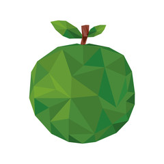 apple fruit mosaic icon image vector illustration design 