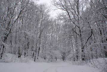winter road
