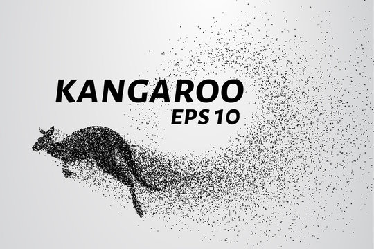 Kangaroo of particles. Kangaroo consists of small circles and dots. Vector illustration