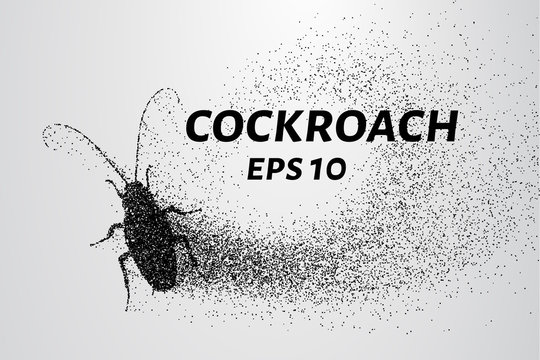 Cockroach particles. Cockroach consists of small circles and dots. Vector illustration
