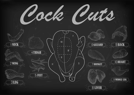 Cock cockerel rooster cutting meat scheme parts carcass brisket