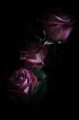 Drei alte Rosen auf schwarzem Hintergrund © Peregrine Stock