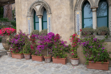 Fototapeta na wymiar street flowers in large pots