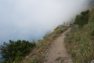 Path of the Gods in the Fog