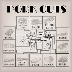 Pork pig side carcass cuts cut parts info graphics scheme sign 