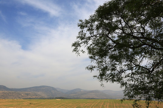 Paysage. Tell Hazor. Isra&euml;l.