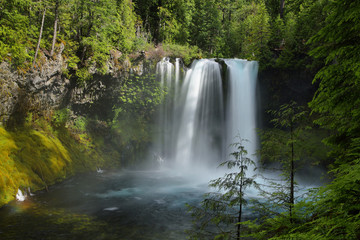 Fototapeta na wymiar Koosah Falls in Mc kenzie pass, Oregon.