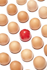 eggs