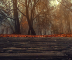 Naklejka na ściany i meble Empty wood table top on blur background of the golden autumn. For montage product display