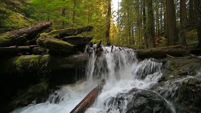 High definition movie of impressive Panther Creek Falls with plunging water audio sounds in Washington State 1080p hd