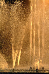 Backlight  of water splashing fountain in the evening with a lig