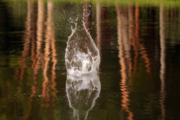 Water splashes  in the water on the river