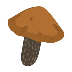 Mushroom vector illustration icon