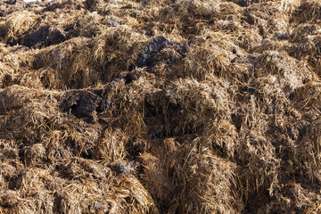 are landed in a pile of manure