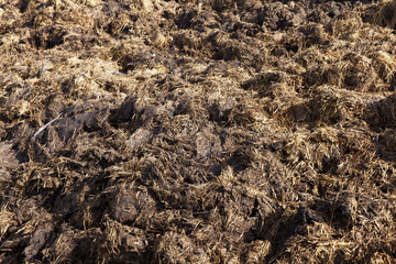 are landed in a pile of manure