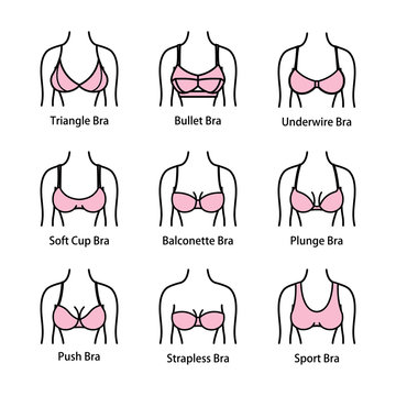 Icon tipes of bra. Kinds of bras