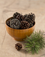 pine cones and needles