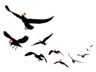 seagulls silhouette wearing Santa hats. Vector Illustration isolated on white background.
