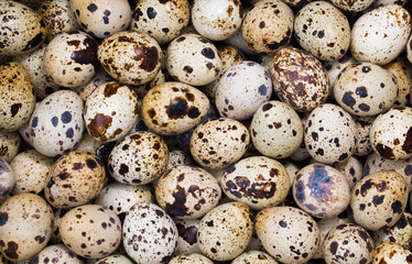 Fresh quail eggs background top view close-up