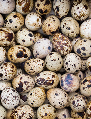 Fresh quail eggs background top view