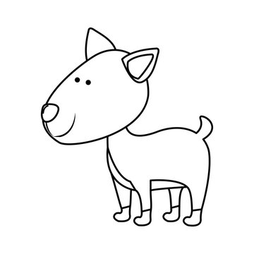dog pet animal icon image vector illustration  design