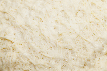 dough for the pie, close-up